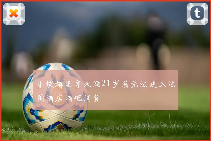小埃梅里年未满21岁或无法进入法国酒店酒吧消费